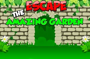 SelfDefiant Escape the Amazing Garden